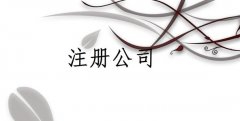 外商投資企業注冊登記所需材料